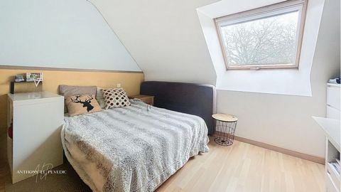 photo no. 12