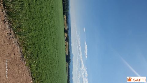 photo no. 5