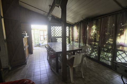 photo no. 10