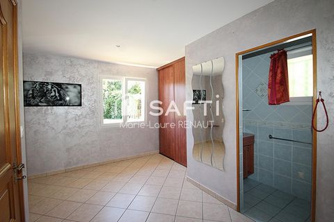 photo no. 13