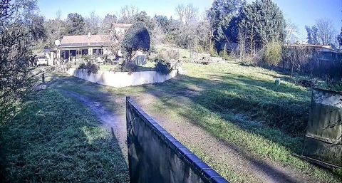 photo no. 11