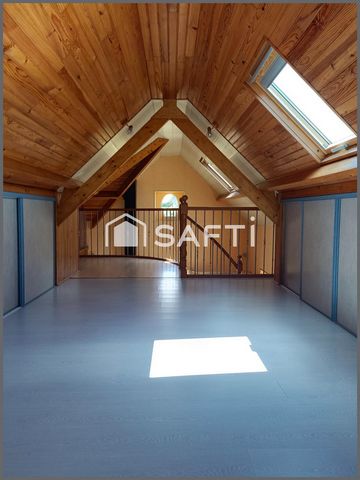 photo no. 11