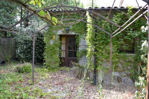 photo no. 4