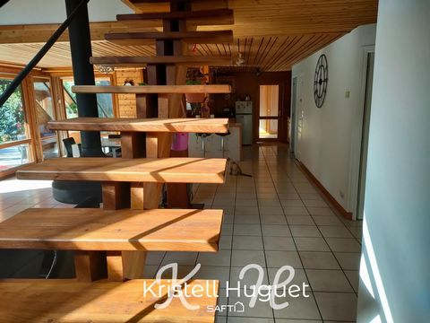 photo no. 10