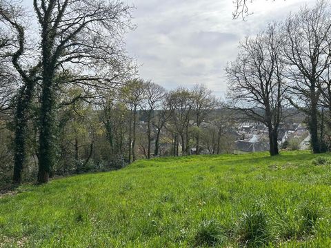 photo no. 4