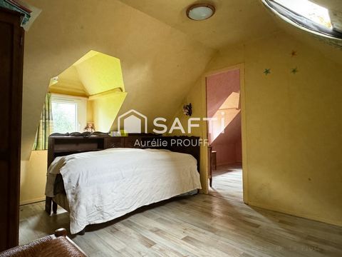 photo no. 9
