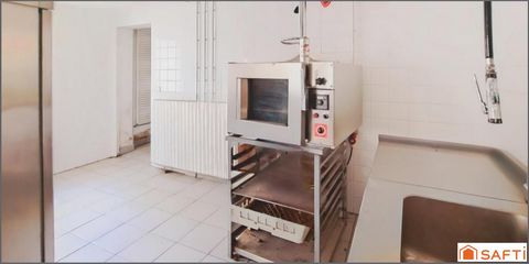 photo no. 4