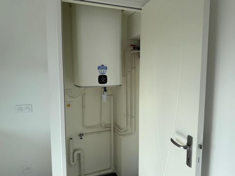 photo no. 6