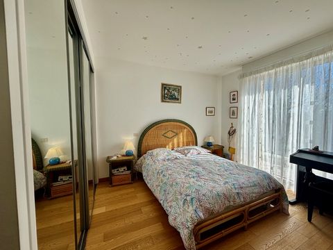 photo no. 8