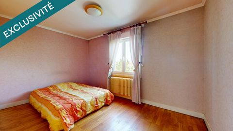 photo no. 11