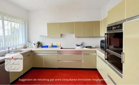 photo no. 7