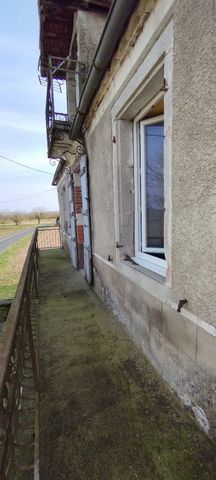 photo no. 9
