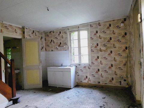 photo no. 13