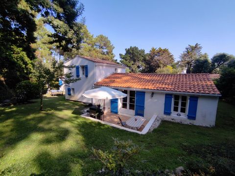 photo no. 11