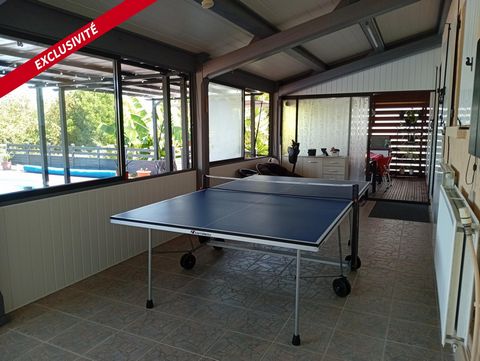 photo no. 13