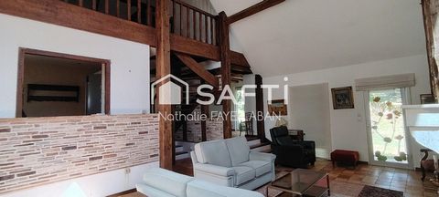 photo no. 9
