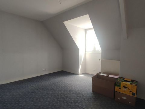 photo no. 12