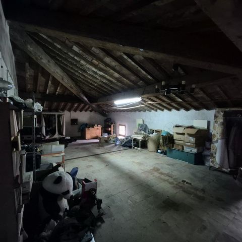 photo no. 18