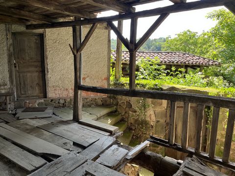 photo no. 13