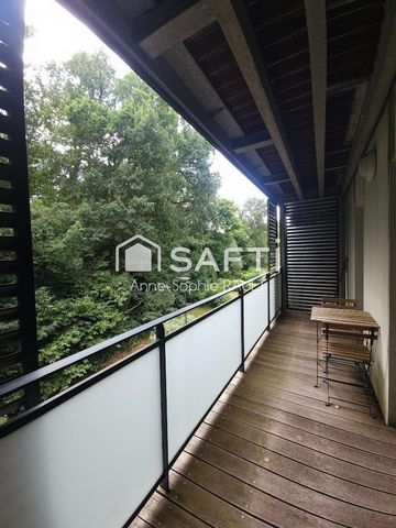 photo no. 6