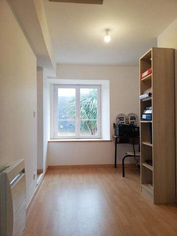 photo no. 11