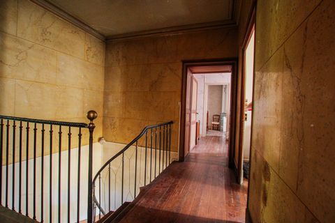 photo no. 5