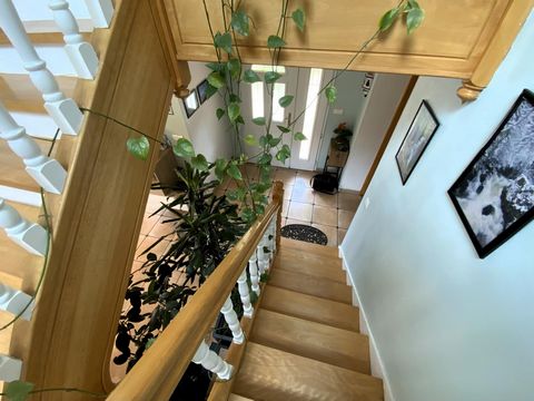 photo no. 9