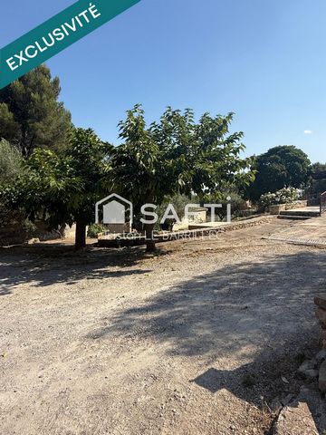 photo no. 12