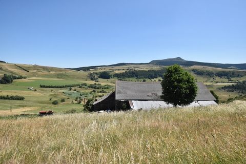 photo no. 1