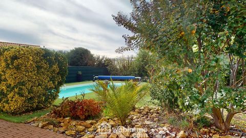 photo no. 12
