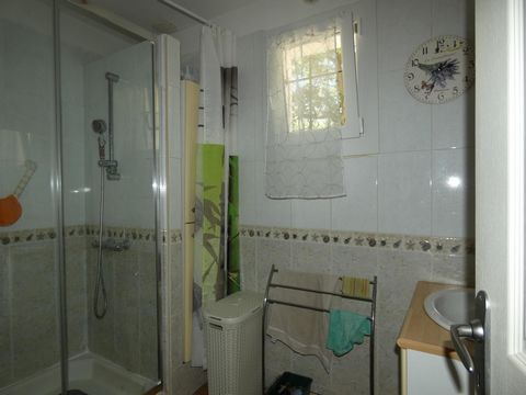photo no. 8