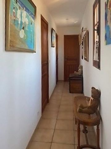 photo no. 11