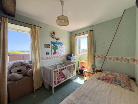 photo no. 14
