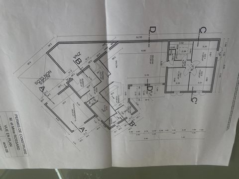 photo no. 17