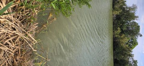 photo no. 3
