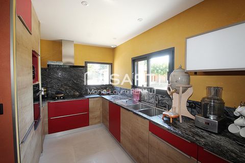 photo no. 11