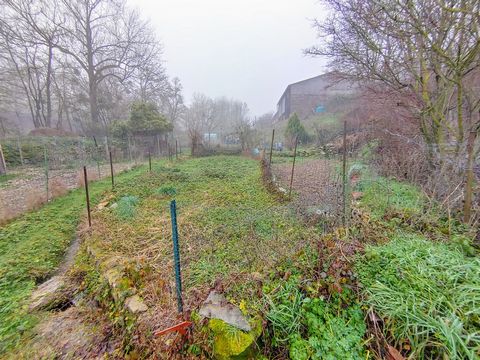 photo no. 10