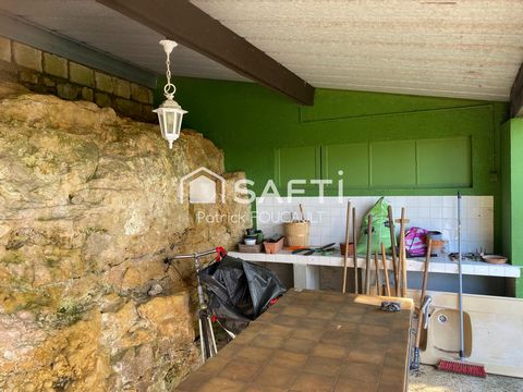 photo no. 10