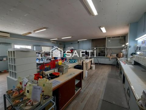 photo no. 8
