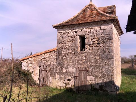 photo no. 14