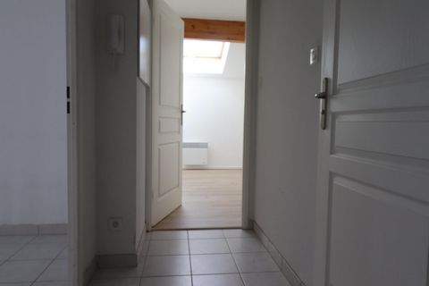 photo no. 4