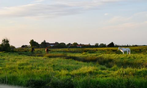 photo no. 2