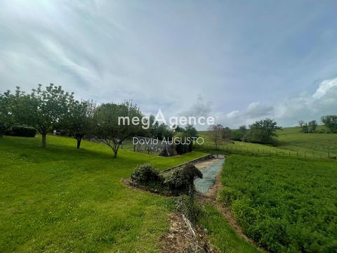 photo no. 11