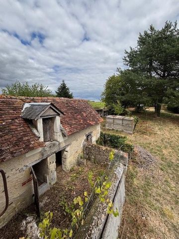 photo no. 14