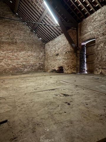 photo no. 8