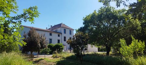 photo no. 2