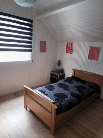photo no. 9