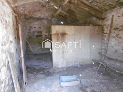 photo no. 11