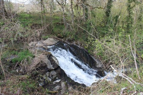 photo no. 12