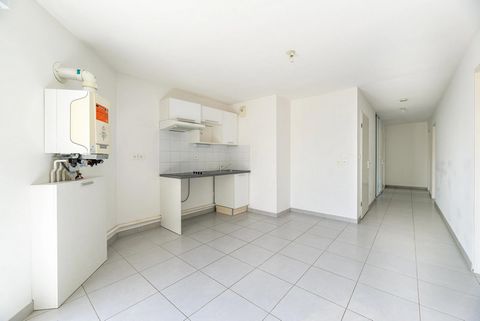 photo no. 4